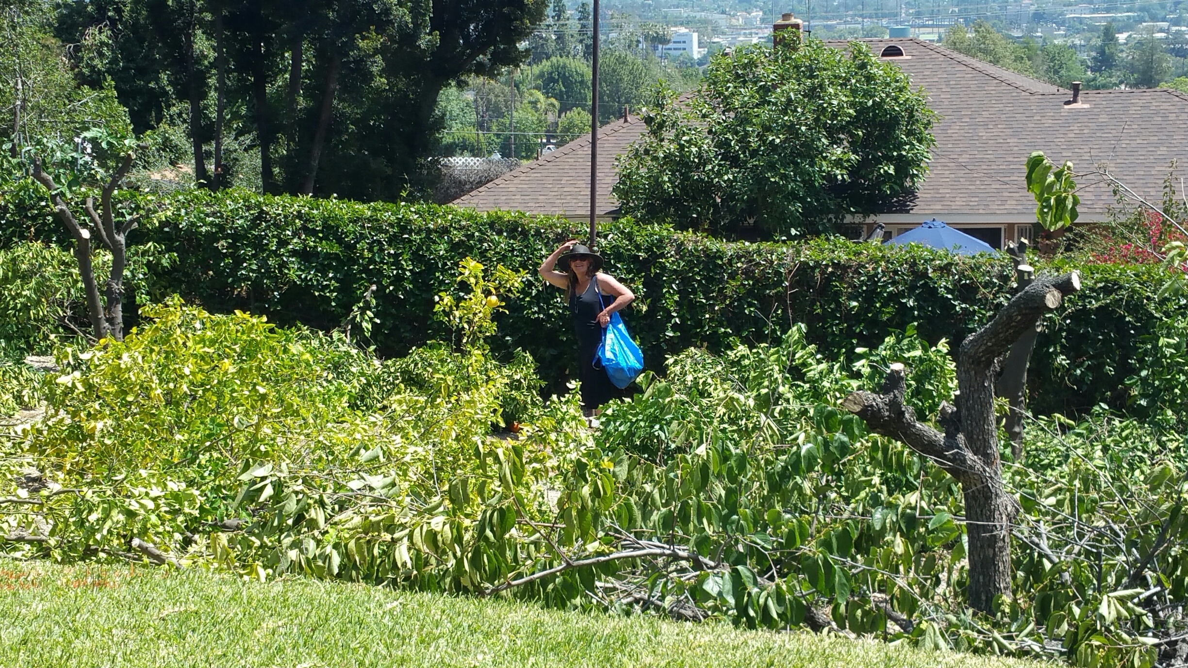 Teri picking fruit in her garden